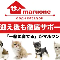 【 サポート 】ペットとの生活をより良いものに！お迎え後の充実サポートご紹介