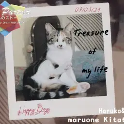 【 ファーストパートナー 】マルワン北戸田店スタッフさとちゃんの愛猫物語