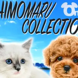 【 シモマルコレクション 】飼い主様と犬猫のペットライフを豊かにする役立ち情報集