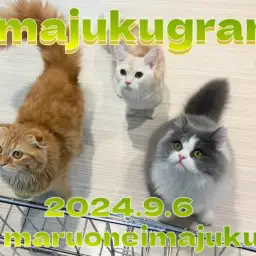 【 イマジュクグラム 】第二弾！多頭ライフができちゃうイケニャンたちに密着！