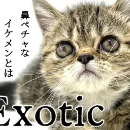 【 エキゾチック 】鼻ぺちゃなイケメンとは僕のことです！