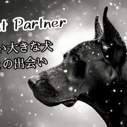 【 ファーストパートナー 】マルワン東川口店スタッフ茂木の愛犬物語！