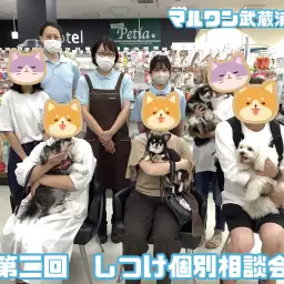 【 しつけ個別相談会 】愛犬との絆の結び方レクチャーとお悩み相談！お散歩編