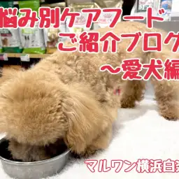 【 商品紹介 】お悩み別ケアフードのご紹介!愛犬編