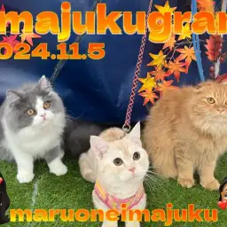 【 イマジュクグラム 】マルワン横浜今宿店！秋仕様フォトブース完成のお知らせ！