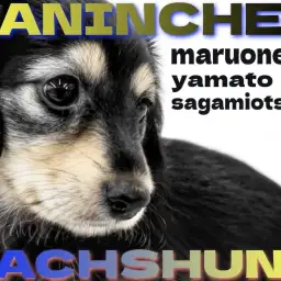 【 カニンヘンダックスフント 】明るく陽気な女の子!愛され要素も満載な短足犬!