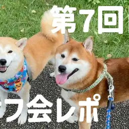 【 オフ会レポ 】総勢26頭大集合!次回オフ会開催日も決定!