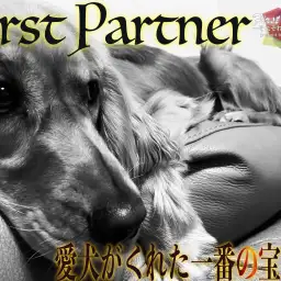 【 ファーストパートナー 】マルワン大和相模大塚店スタッフ山部の愛犬物語!