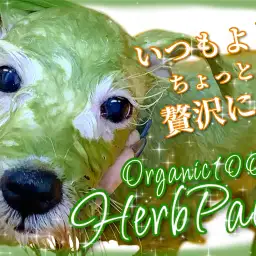 【 トリミング 】いつもよりちょっと贅沢に!ハーブパックをご紹介!