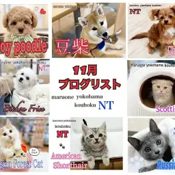 【 ブログリスト 】マルワン港北NT店11月のブログ記事まとめ