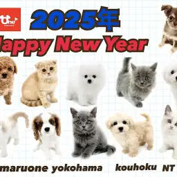 【 お知らせ 】2025年!新しい出会いをマルワン横浜 港北NT店で!
