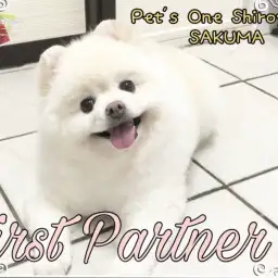 【 ファーストパートナー 】ペッツワン城山店スタッフ佐久間の愛犬物語！