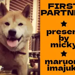 【 ファーストパートナー 】マルワン横浜今宿店 みっきーの愛犬物語！