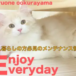 【 サイベリアン 】一人で出来る!一人暮らしの方必見のメンテナンス慣れ!