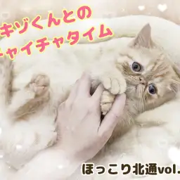 【 ほっこり北通vol.139 】エキゾチックくんと幸せすぎるイチャイチャタイム