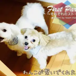 【 ファーストパートナー 】マルワン横浜港北NT店スタッフ三國の愛犬物語！