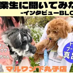 【 下丸子店卒業生インタビュー 】友達の輪から笑顔溢れるワンちゃんライフの輪へ