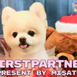 【 ファーストパートナー 】マルワン横浜今宿店 柴の愛犬物語！