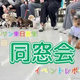 【 イベントレポート 】マルワン東日暮里店にて同窓会イベント開催！