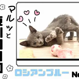 【 マルっと東川口日和NO.6 】美ボディの秘訣は食にあり！食欲旺盛なロシちゃん