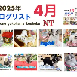 【 ブログリスト 】マルワン横浜 港北NT店4月のブログ記事まとめ