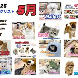 【 ブログリスト 】マルワン港北NT店5月のブログ記事まとめ