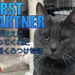 【 ファーストパートナー 】マルワン横浜大倉山店スタッフゆうこの愛猫物語！