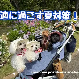 【 お役立て情報 】猛暑を乗り切る！快適に過ごす夏の対策法