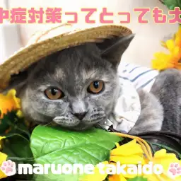 【 お迎え後のポイント熱中症対策前編 】暑さ強まるこの時期を上手に乗り切ろう!