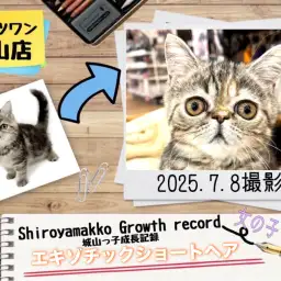 【 エキゾチック 】 城山っ子成長報告!2025年7月9日