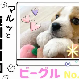 【 マルっと東川口日和No.40 】全方位愛らしい女の子、ビーちゃん