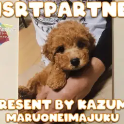 【 ファーストパートナー 】マルワン横浜今宿店スタッフ伊藤の愛犬物語！