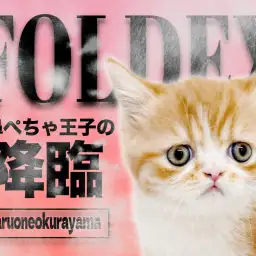 【 フォールデックス 】独特な表情がクセになる可愛さと魅惑のマシュマロボディ！