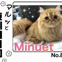 【 マルっと東川口日和No.86 】愛嬌たっぷりなミヌちゃんの姿を大公開！