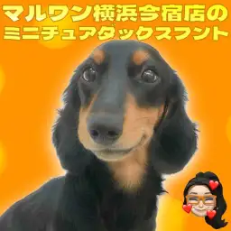 【 ミニチュアダックスフント 】もうすぐ生後7ヶ月！初心者必見の甘え上手な男の子