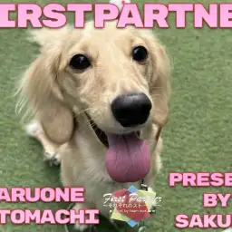 【 ファーストパートナー 】マルワン横浜元町店スタッフ長田の愛犬物語！