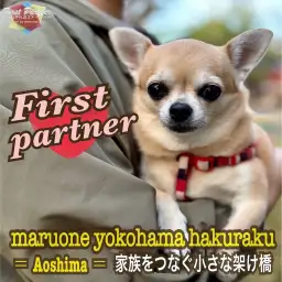 【 ファーストパートナー 】マルワン横浜白楽店スタッフ青嶋の愛犬物語！