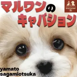 【 キャバション 】最高の出会いをお届け！大人気！マルワンのキャバション！