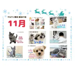 【 ブログリスト 】マルワン港北NT店11月のブログ記事まとめ