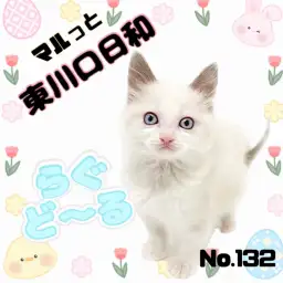 【 マルっと東川口日和No.132 】人気の秘密に迫る！激かわラグちゃんをご紹介