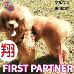 【 ファーストパートナー 】マルワン東川口店スタッフ木崎の愛犬物語！