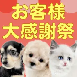 【 お客様大感謝祭 】ペットを迎える絶好のチャンス到来！マルワンからプレゼント企画！