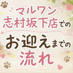 【 お迎えまでの流れ 】マルワン志村坂下店で始まる新生活をご紹介いたします!