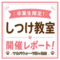 【 卒業生限定無料しつけ教室 】卒業生だけが受けられる特別レッスン！