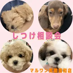 【 しつけ相談会 】愛犬との絆の結び方レクチャーとお悩み相談!