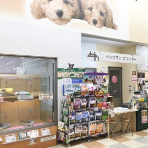 城山店発:ワンちゃんのシャンプーのコツも大公開!「セルフウォッシュサービス」