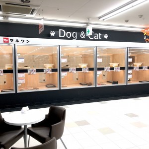 【 新店舗紹介 】10/4マルワン19番目の店舗!マルワン東川口店オープン!!