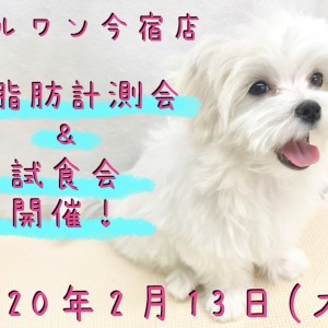 【 今宿店 イベント 】2/13ワンちゃんの体脂肪計測会&試食会のお知らせ!