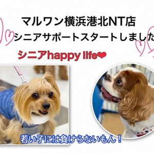 【 お役立て情報 】マルワン卒業生のシニアライフを一緒にエンジョイ!