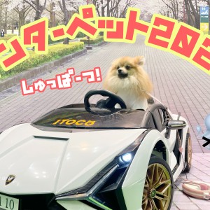 【 インターペット 】見所満載!インターペット2022へ参加してきました!